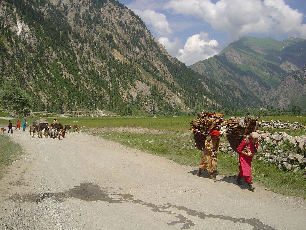 Kashmir